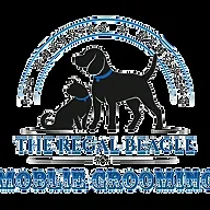 Mobile Grooming by The Regal Beagle — business logo from their website