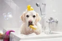 Reese's Luxury Mobile Grooming logo